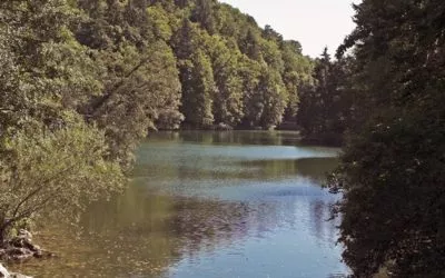 Questions fréquentes sur les tarifs d&rsquo;électricité