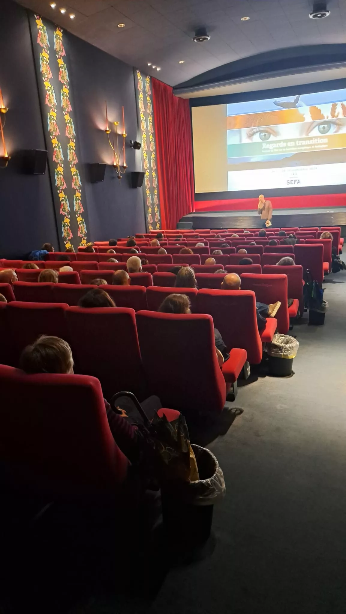 Cinema Festival regards en Transition